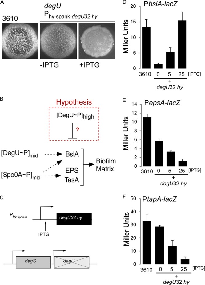 FIG 2