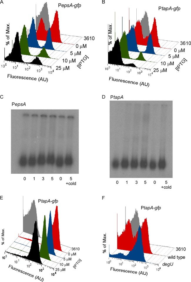 FIG 3