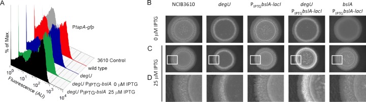 FIG 4