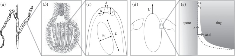 Figure 1.