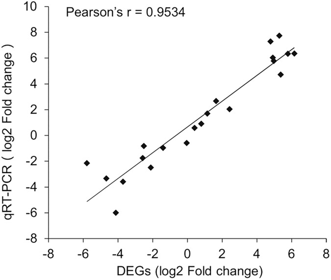 Fig 5