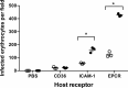 Fig 10