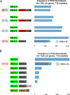 Fig 12