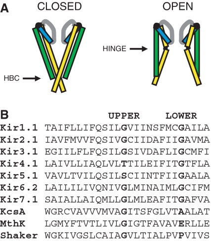 Fig. 1