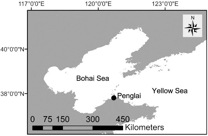 Fig. 1.