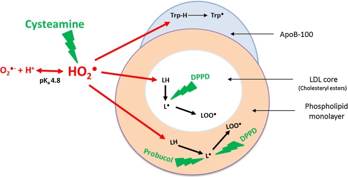 Fig. 8