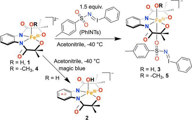 Scheme 2