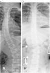 Fig. 3