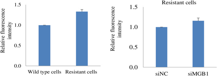 Fig. 8