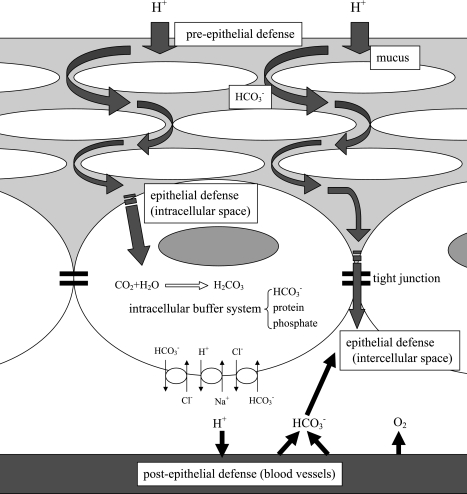 Fig. 1