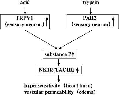 Fig. 6