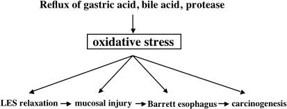 Fig. 5