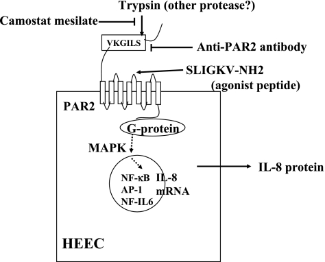 Fig. 7