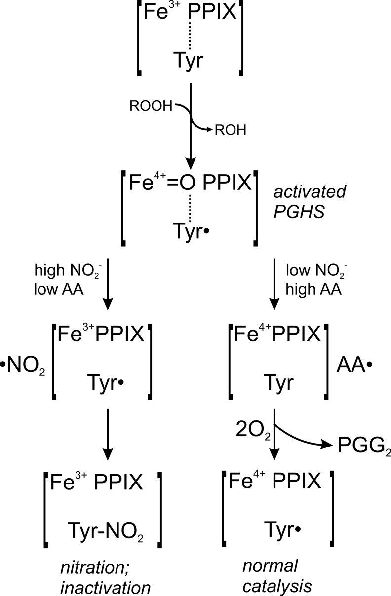 FIG. 8.