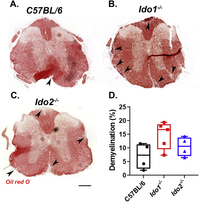 Fig. 4