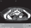 Figure 4)