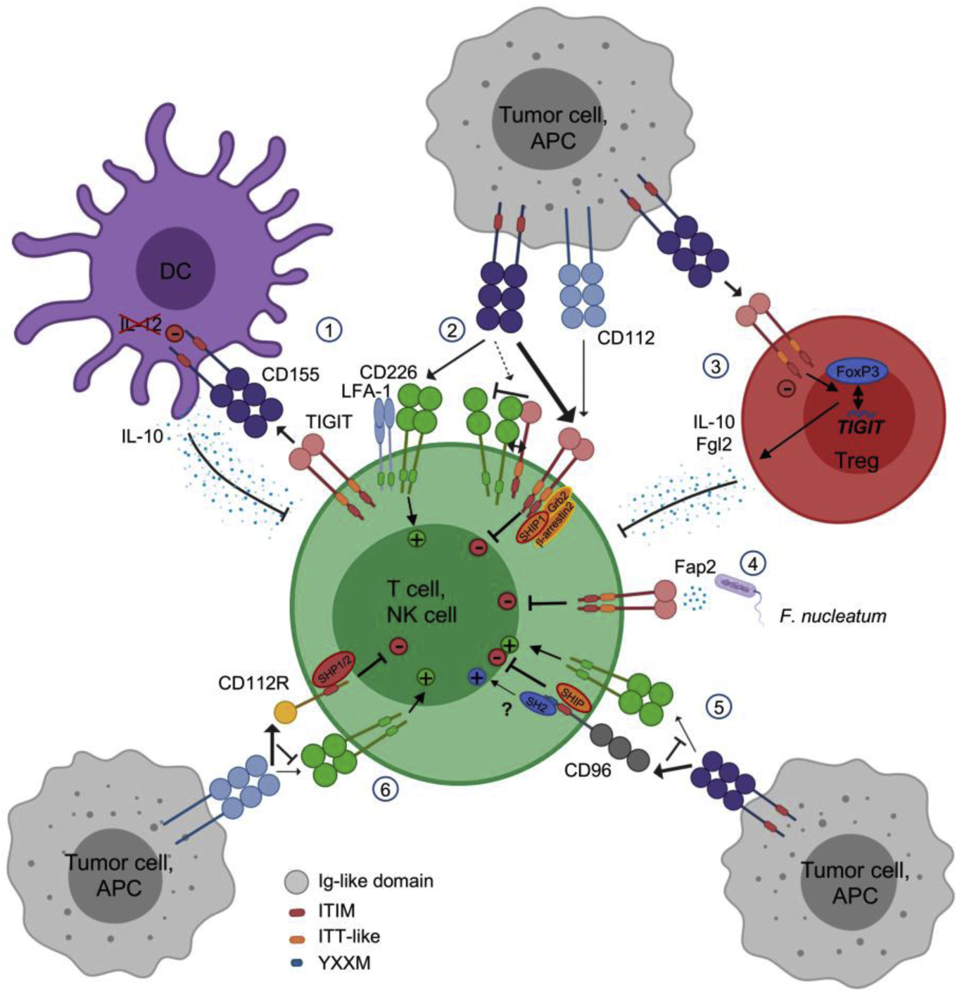 Figure 2: