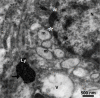 Figure 22