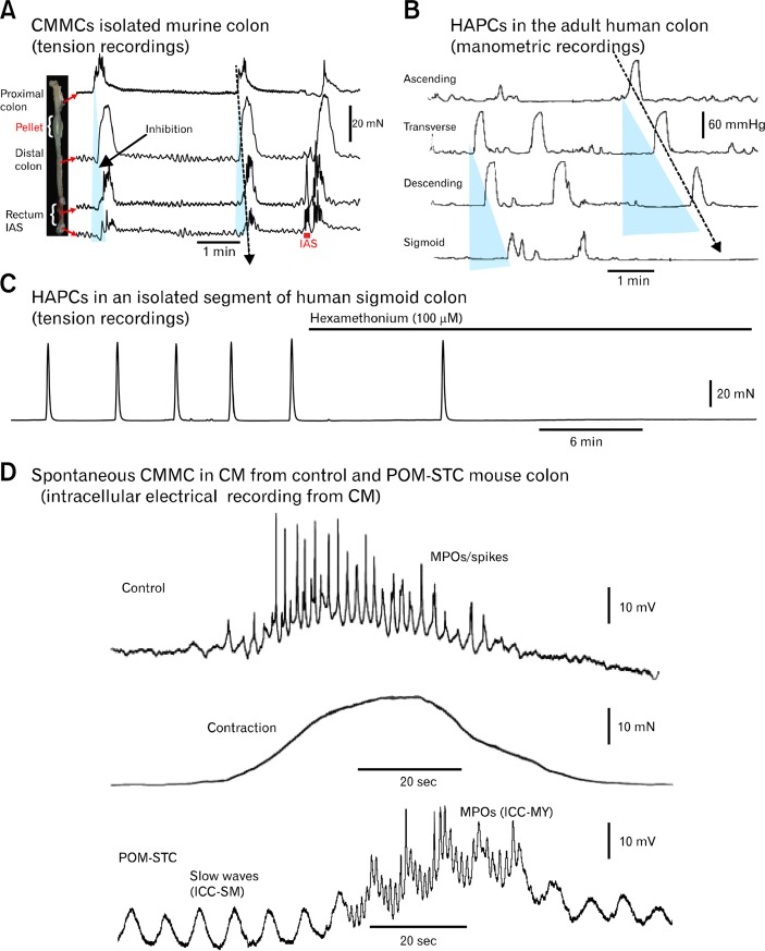 Figure 2.