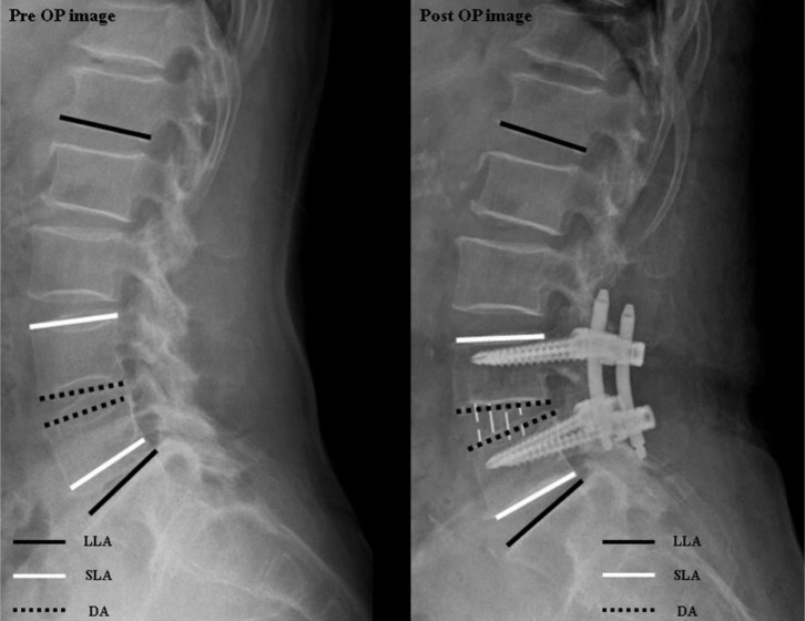 Fig. 2