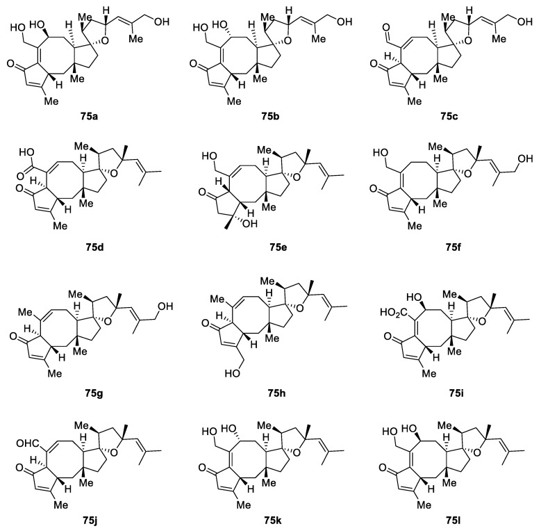 Figure 28