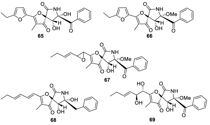 Figure 25