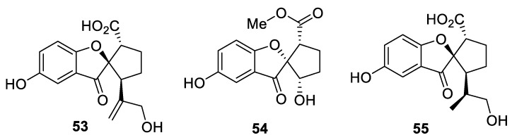 Figure 21