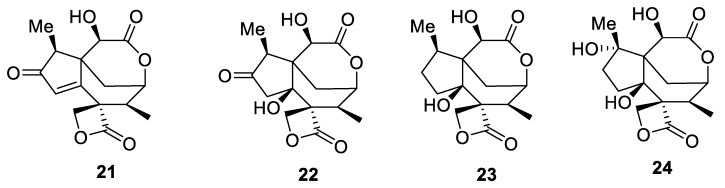 Figure 11