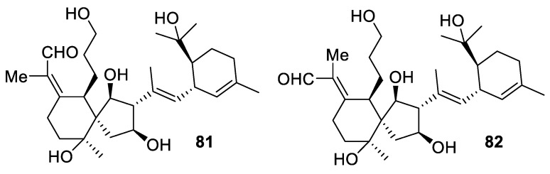 Figure 34