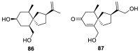 Figure 36