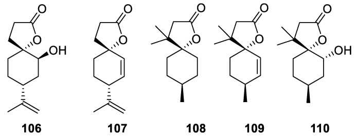 Figure 48