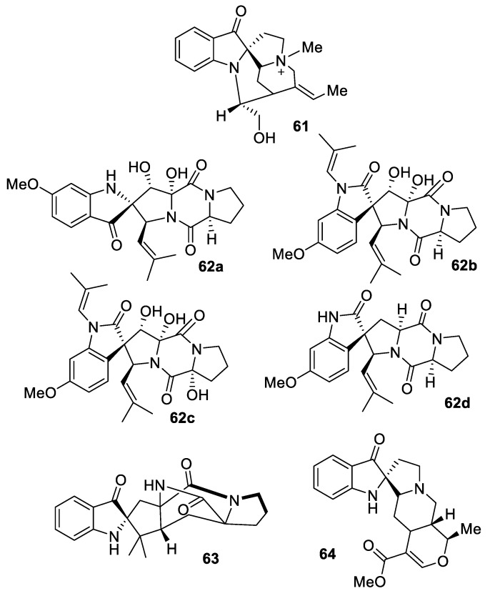 Figure 24