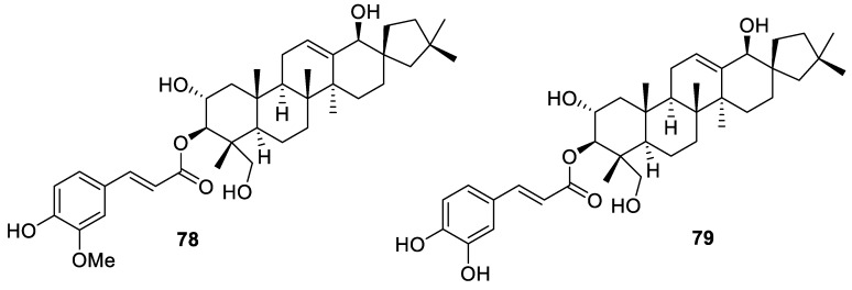 Figure 32