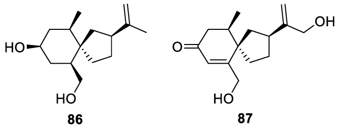 Figure 36