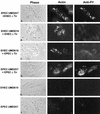 FIG. 8
