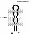 FIG. 9
