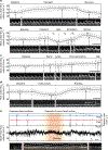 Fig. 4 |
