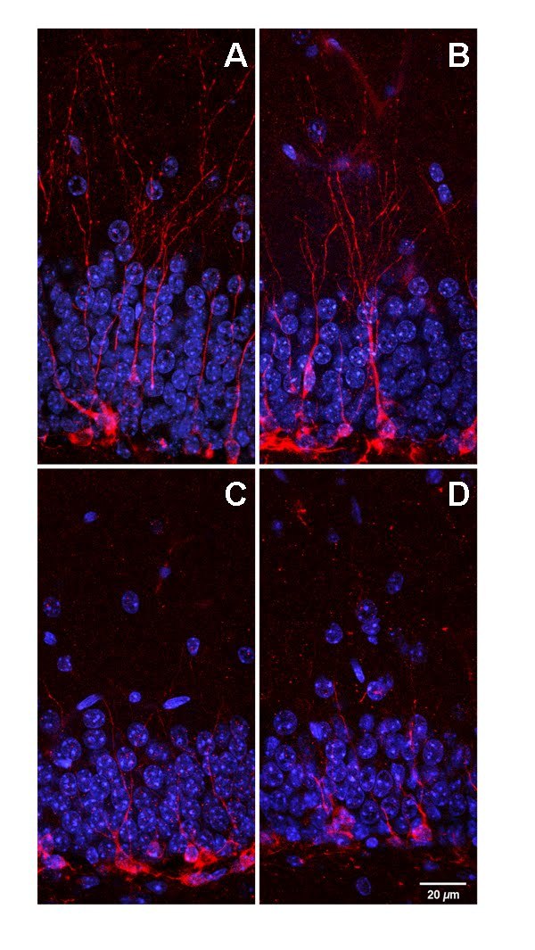 graphic file with name fig-5-plos.jpg