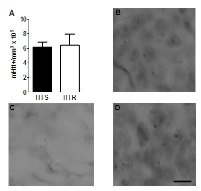 graphic file with name figure-6-plos.jpg