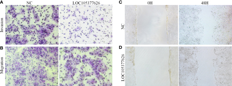 Figure 10