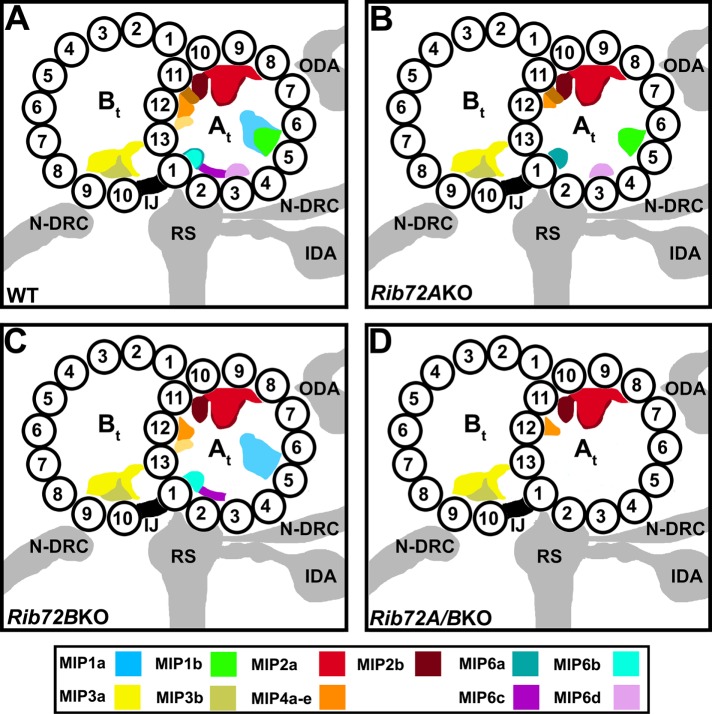 FIGURE 9: