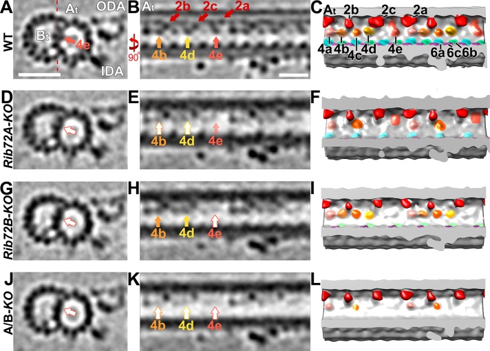 FIGURE 6: