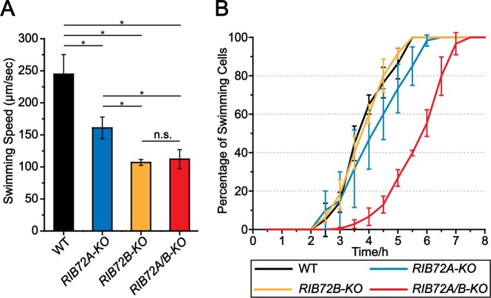 FIGURE 3: