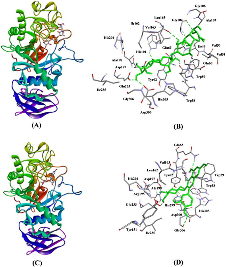 Fig. 6