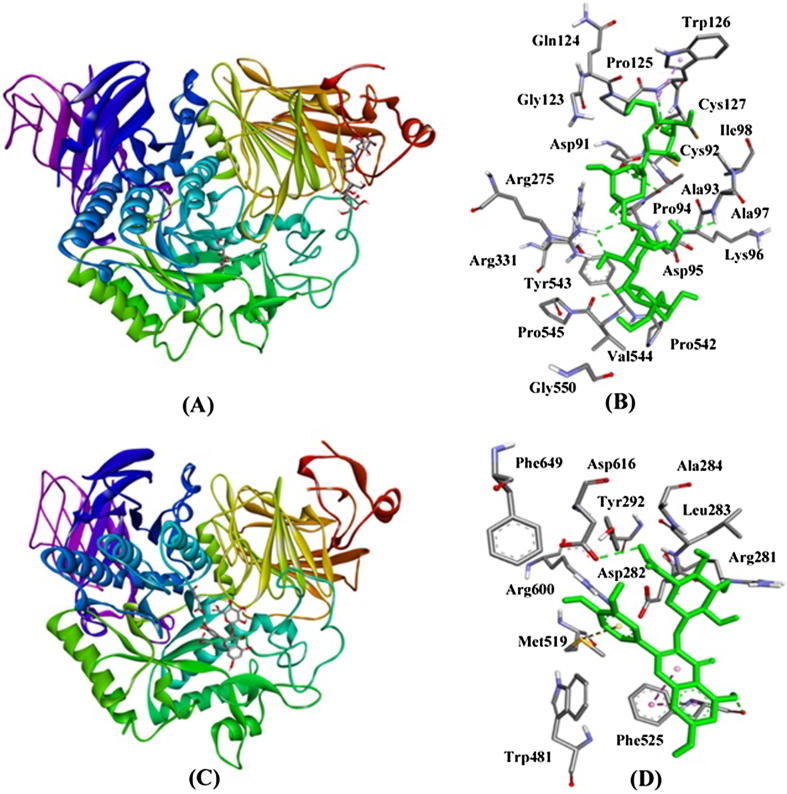 Fig. 7