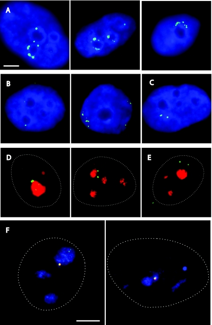 FIG. 6.