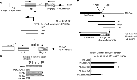 FIG. 1.