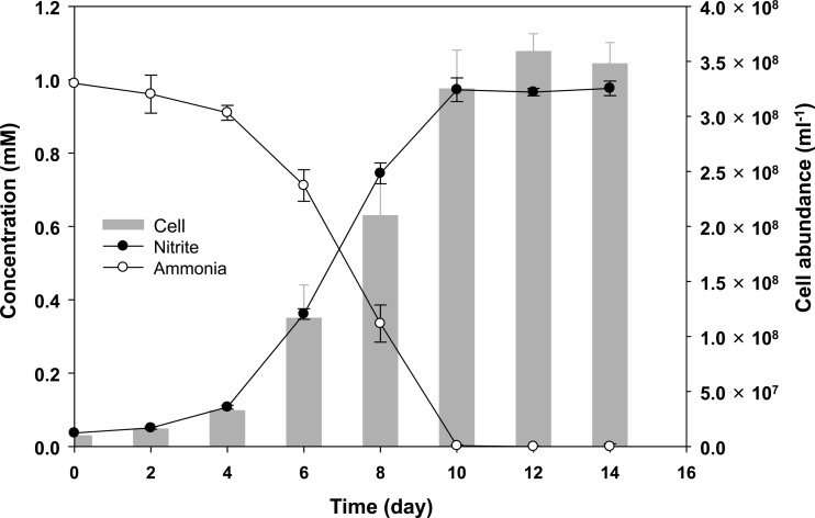 FIG 3