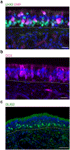 Extended Data Fig. 3