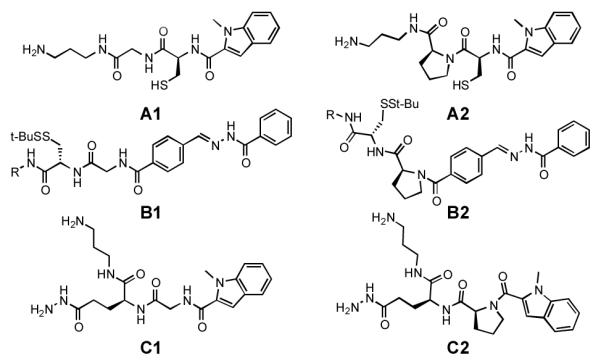 Fig. 2